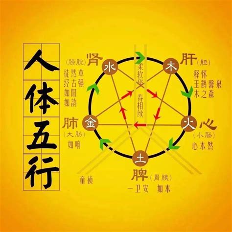 木生火的意思|五行生克（哲学理论）